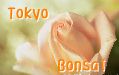 �m���ȁA�t�H���|�I�V���b�v�̃|���V�[�ł��B