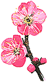 �m���ȁA�t�H���|�I�V���b�v�̃|���V�[�ł��B